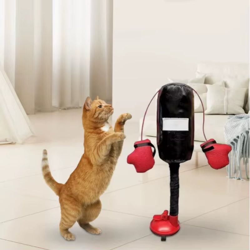 New Cartoon Cat Punching Bag Toy Indoor Kitten Adult Cats Boxing Gloves Suction Cup Color Randomly Shipped Pet Supplies